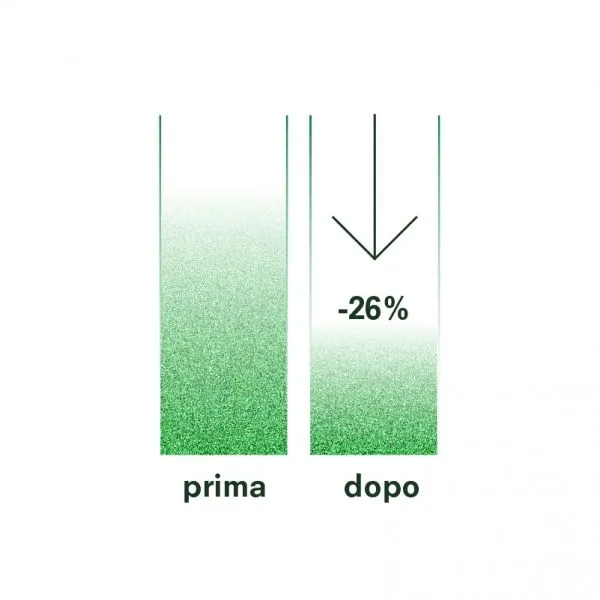 infografica_03
